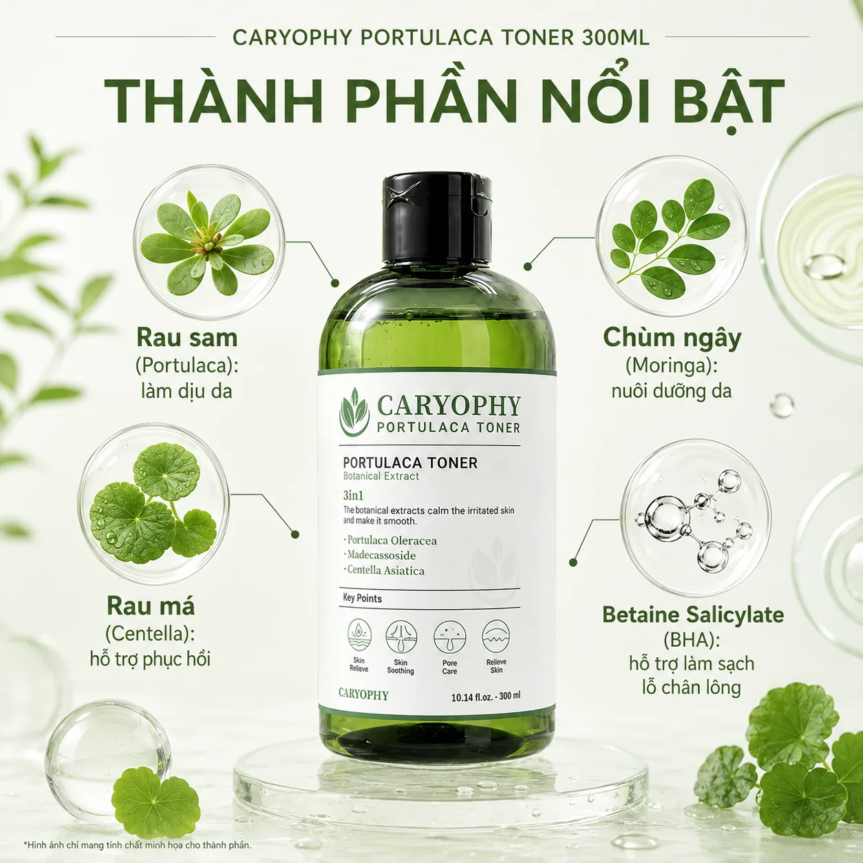 Nước hoa hồng giảm mụn Caryophy Portulaca 300ml 3