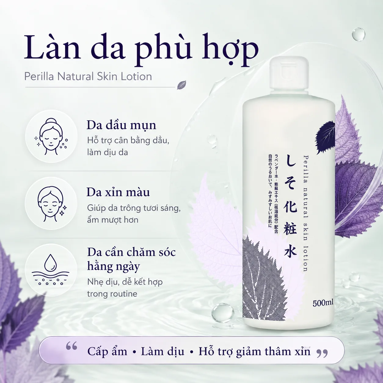 Nước dưỡng da Shiso chiết xuất tía tô 500ml 4