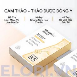 Mặt Nạ Colorkey B5 Luminous Thảo Dược Đông Y - Replenishing Facial Mask 3 Mặt Nạ Colorkey Luminous Thảo Dược Đông Y - Replenishing Facial Mask