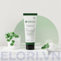 Sữa Rửa Mặt Caryophy Sạch Sâu - Portulaca Cleansing Foam 9 Sữa Rửa Mặt Caryophy Sạch Sâu - Portulaca Cleansing Foam
