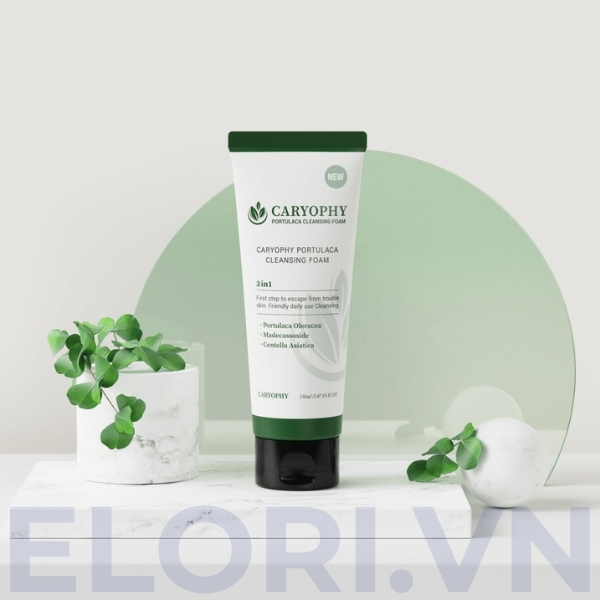 Sữa Rửa Mặt Caryophy Sạch Sâu - Portulaca Cleansing Foam 5 Sữa Rửa Mặt Caryophy Sạch Sâu - Portulaca Cleansing Foam