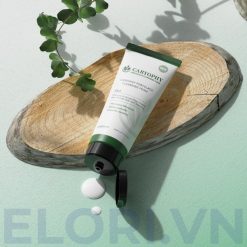 Sữa Rửa Mặt Caryophy Sạch Sâu - Portulaca Cleansing Foam 8 Sữa Rửa Mặt Caryophy Sạch Sâu - Portulaca Cleansing Foam