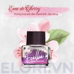 Nước Hoa Vùng Kín